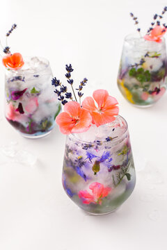 Refreshing cold drink with frozen flowers, cornflowers and geraniums, osteosperum and lavender and carnation © pundapanda