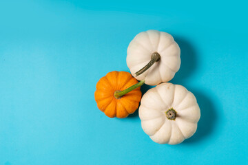 Obraz premium pumpkin on table