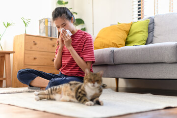Young Asian woman sneezing which suffering from first symptoms of cat's fur allergy. Cute cat and allergic girl. Animal allergy people daily lifestyle health illness concept. - obrazy, fototapety, plakaty