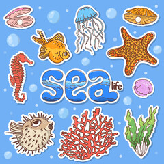 Set with sea fish and animals in the doodle style. Colorful vector illustration.