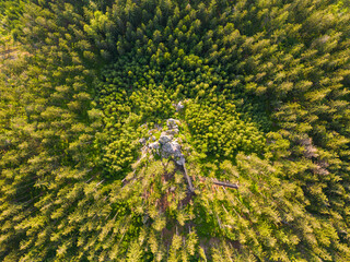 Aerial photo of rocks in middle of forest