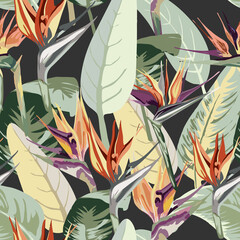 735_Strelitzia strelitzia, tropical exotic plant, leaves, flowers, seamless pattern suitable for fabric design, paper,