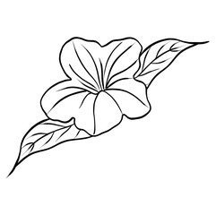 Black and white flower, line art flower