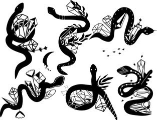 Collection mystical snake with crystals, moon, stars, flowers and leaves. Magical snake on white background. Mystic esoteric symbol.Vector illustration.