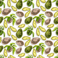 772_avocado plant avocado, plant, fruit whole and slice, with leaves, isolate on white background, graphic vector illustration, tropical summer fruits, colorful illustrations, detailed food product, g