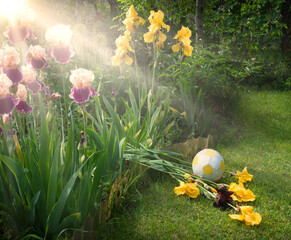 The ball crushed the flowers