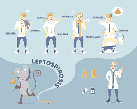 symptom of leptospirosis, repellent with people having diarrhea, headache, vomiting, fever, muscle pain, rat, health care concept, flat character design vector illustration cartoon infographic