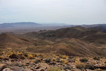 Cacti Covered Hill in Cloudy Death Valley National Park