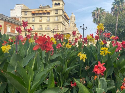 Casco Antiguo De Ciudad De Sevilla 