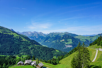 Idyllic landscape in the Alps with fresh green meadows and blooming flowers and snow-capped mountain tops in the background