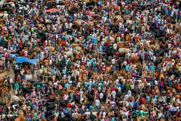 Fototapeta premium Eid ul Adha Cattle Market in Bangladesh