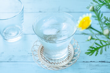夏の日の氷水