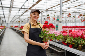 Woman greenhouse worker in uniform with geranium flower in her hands