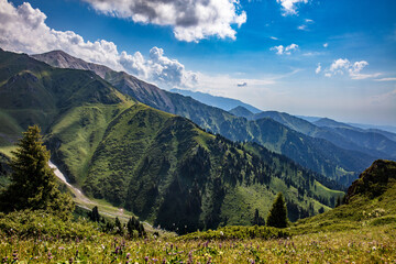 Fototapeta premium landscape in the dolomites