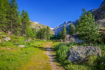 Fototapeta na wymiar Im Nationalpark Gran Paradiso im Aostatal in Italien