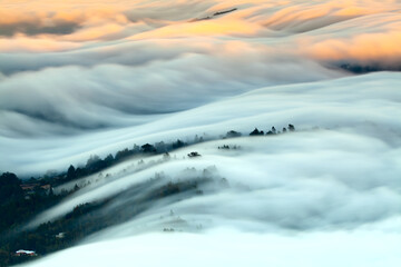 Fog Wave on Mountain Tamalpais, California