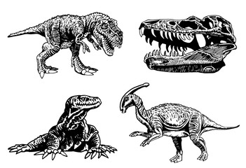 Vector set of dinosaurs and varans , graphical elements isolated on white