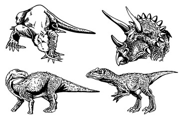 Vector set of dinosaurs and varans , graphical elements isolated on white © Vita