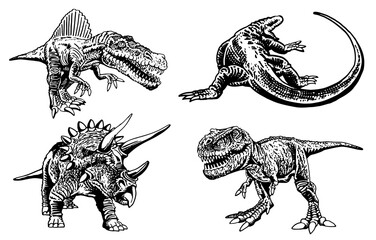 Vector set of dinosaurs and varans , graphical elements isolated on white © Vita