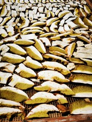 Drying mushrooms - Boletus in the old traditional way