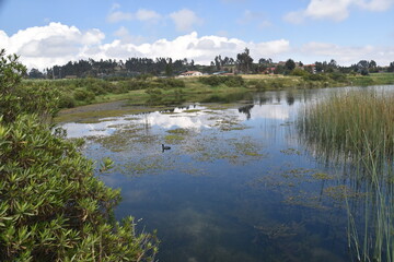 The beautiful landscapes around Lake Puray in Peru with views and reflections of the Andes Mountains