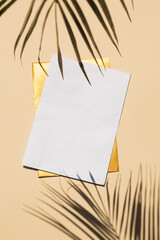 Top view of green tropical leaf shadow and two envelopes. Flat lay. Minimal summer concept with...