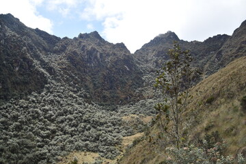 Hiking the green valleys and lush jungle and mountain landscape of the Inca Trail in Peru