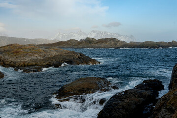 Obraz premium Incredible and famous mountain scenery by the sea in springtime in Norway in the Lofoten Islands.