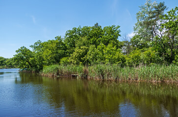 Bank of river that flows in wooded area