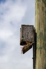 Old wooden bird house on a wooden post