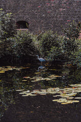 Umgebung von Schloss Spandau, Berlin.