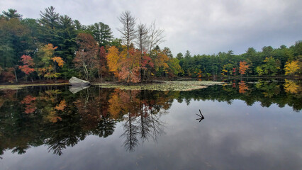 Fototapeta premium lake in autumn