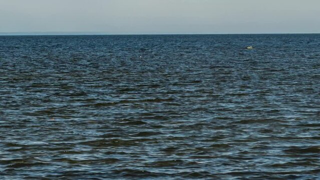 From low tide to high tide time lapse with the sea. The beach in Karelia