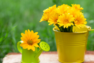 yellow flowers 