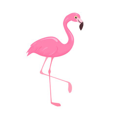 Flamingo. Pink tropical bird isolated on white. Vector illustration in simple, flat style.