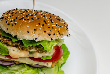 hamburger on a plate, food on a plate, hamburger with chicken, lettuce, tomato, avocado, onion