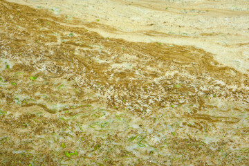 Yellow foam surface reservoir, pollution rivers with chemicals and industrial waste.