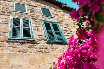 Fototapeta na wymiar Blooming bougainvillea flowers on old stone wall of house with wooden windows background.