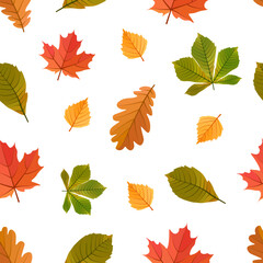 Fototapeta premium Autumn leaves on white background seamless pattern in cartoon style. Yellow, red, yellow, green leaves. Fall leaf. Autumn background. Harvest, Thanksgiving, Halloween