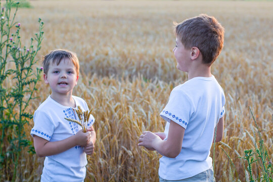 Two happy smiling boys in national Ukrainian shirts in wheat field. Friendship concept. Ukrainian nationality. Patriotic education. Independence Day