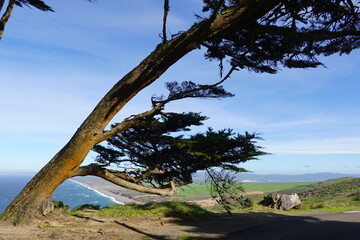 Point Reyes, CA