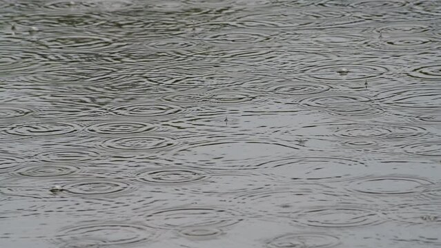 traces of raindrops on the mirror surface of the lake on a cloudy day, 4k macro video