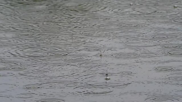 traces of raindrops on the mirror surface of the lake on a cloudy day, 4k macro video