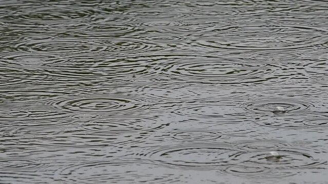 traces of raindrops on the mirror surface of the lake on a cloudy day, 4k macro video