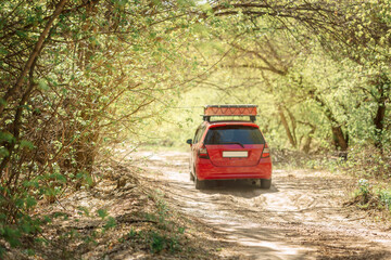 Fototapeta na wymiar Red car drives along forest road on sunny spring day. View of countryside road with auto going into distance. . High quality photo
