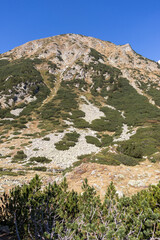 Landscape near Banderitsa River at Pirin Mountain, Bulgaria