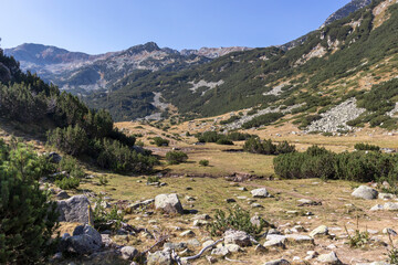 Fototapeta na wymiar Landscape near Banderitsa River at Pirin Mountain, Bulgaria