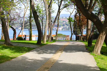 selective focus: Wonderful view of the sea through the forest in Emirgan, Istanbul	
