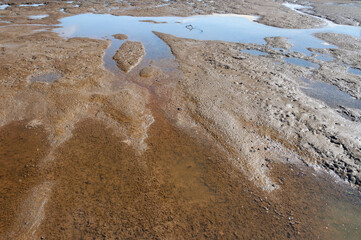 A close shot of mud at Nisqually river estuary in the Billy Frank Jr. Nisqually National Wildlife...