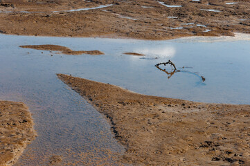 A close shot of stream at Nisqually river estuary in the Billy Frank Jr. Nisqually National...